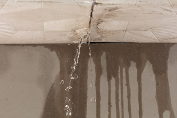 Professional Sewage Cleanup technician working in Peterson, MN